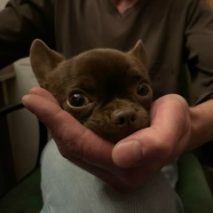 Алексей Лисин, 02.10, Санкт-Петербург