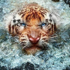 Михаил Сибиряк, 10.09, Москва