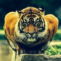 Эрлан Жаркымбаев, 08.01.1987, Новосибирск