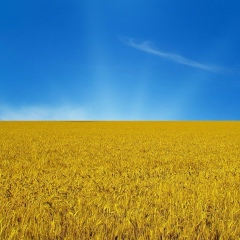 Дмитро Гурдуз, 27.02, Киев
