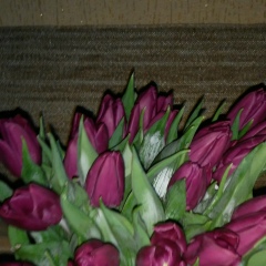 Алёна Макивская, 11.07, Киев