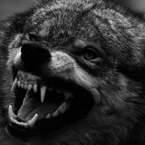 Степан Калтайс, 27.05, Пермь