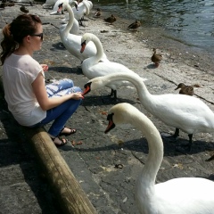 Лола Казакбаева, 29.11, Бишкек