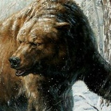 Александр Безпалюк, 22.08.1987, Житомир