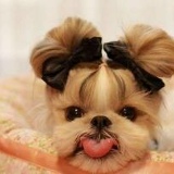 Наталья Агеенко