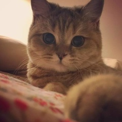 Муботабдухан Мубот