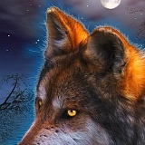 Степан Теплоухов