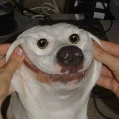 Лия Панченко, 22.09.1991, Москва