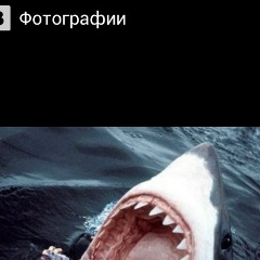 Андрей Юнак, 01.12.1998, Белореченск
