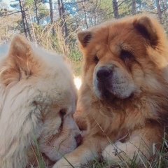 Антонина Торова, 09.03, Москва