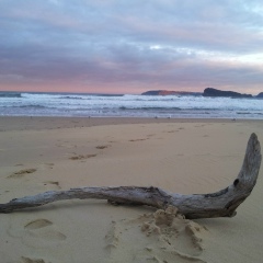 Алуа Маканова, 01.10, Алматы