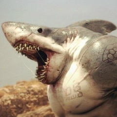 Саша Корнеев, 11.01, Винница