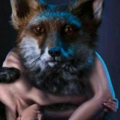 А.Энхжин Эко, 26.08.1990