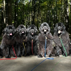 Александра Васина, Москва