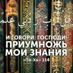 Ястреб Серый, Сибай