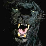 Виталий Сидоров