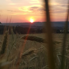 Алина Зарипова, 09.07, Казань