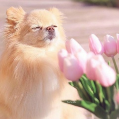 Ольга Счастлива, 22.02, Орёл