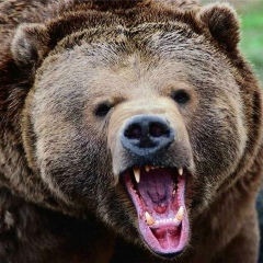 Антон Горбунев, 02.05, Новосибирск