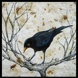 Кот Ревун, 03.08, Алматы