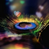 Фатима Канглиева, 12.09, Санкт-Петербург