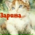 Зарина Загидуллина, Туркестан