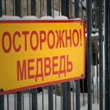 Артур Александров