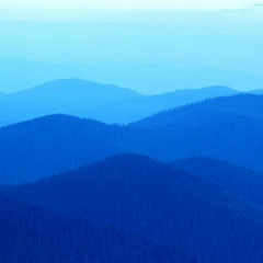 Анна Бирюкова