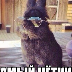 Данила Никитин, Новосибирск