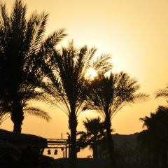 Диана Крылова, 03.05.1988, Киев