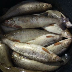 Слава Крюков, 27.12.2005, Санкт-Петербург