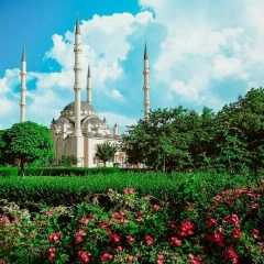 Madina Hasbulatova, 20.02.1993, Грозный