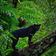 Гульжамила Джолдошова, 04.07, Бишкек