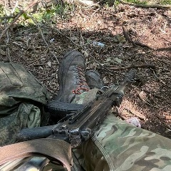 Корсиканец Неополитанский, Кызыл