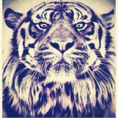 Нурболат Куандыков, 02.10, Астана