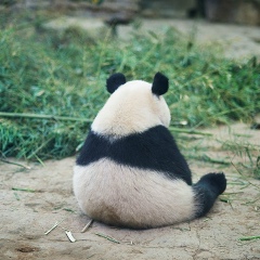 Артем Комаров, 25.10, Санкт-Петербург