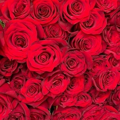 Сауле Малманова, 28.07.1986, Актау