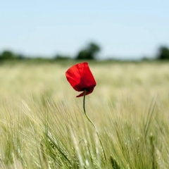 Юлия Михайловна, Астрахань