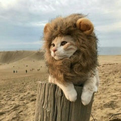 Erik Levin, 14.09.1991, Усть-Каменогорск