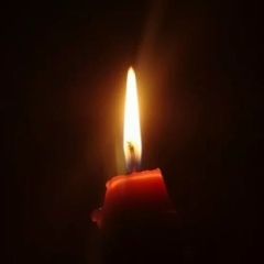 Эльчин Каджаров, 20.01.1979, Санкт-Петербург