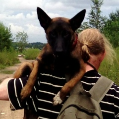 Антон Большаков, 28.11, Санкт-Петербург