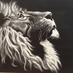 Камалдин Алматов, 06.07.1999, Владивосток