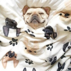 Елена Андронова, 10.02, Мурманск