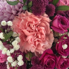 Татьяна Говорова, Череповец