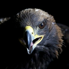 Мурат Аяганов, 18.09.1984, Павлодар