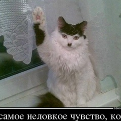Олег Исмагилов, Устюжна