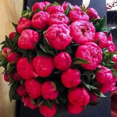 Самала Сагиндыкова, 22.07, Астана