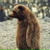 Николай Бобырь, 02.06.1985, Москва