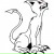 Наталья Cat, 03.02, Алматы