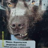 Михаил Евгеньев, Санкт-Петербург